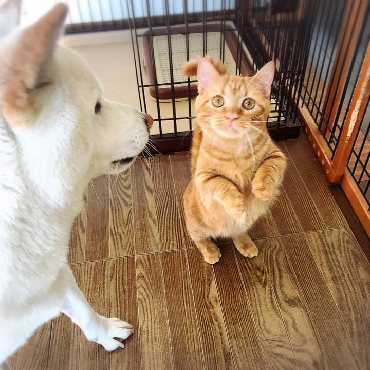 057816f9 0d44 4cae b094 2a65bd3f01d0 1510188176368