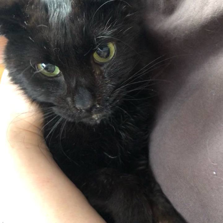 057870a0 2df7 4326 b961 527a1d98e6e7 1646692121841