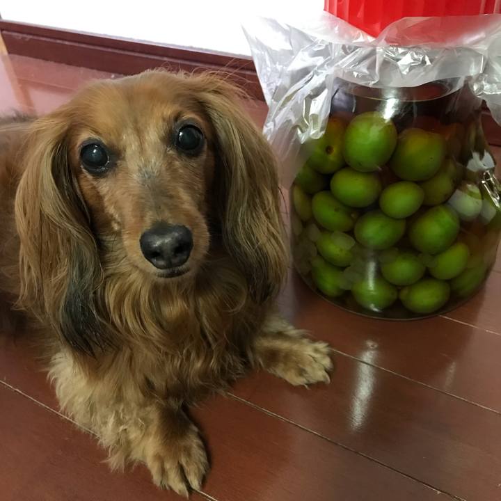 0578747b 5472 4b0a acdc 12db433d8877 1559562966392