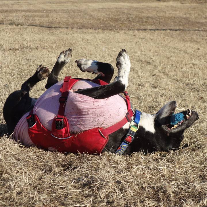 05787714 df3d 45fe 8a6c 14f6327c593f 1675038856926