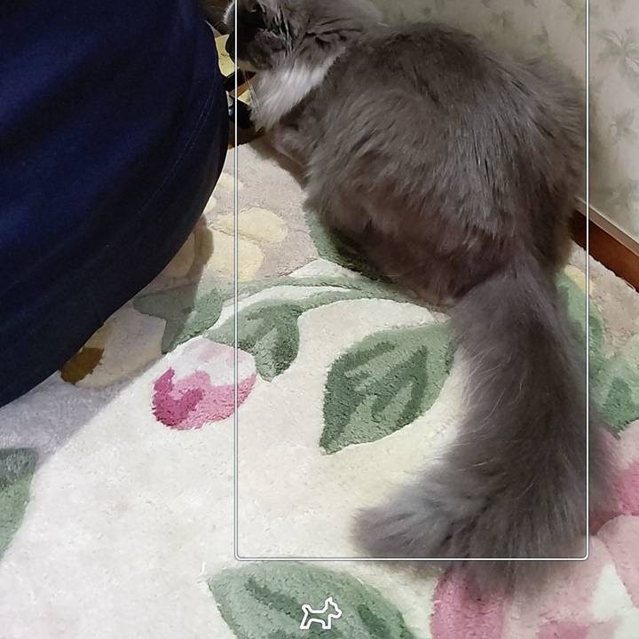 05791404 55a0 43e0 8a8e 79c52b84b368 1579409503903