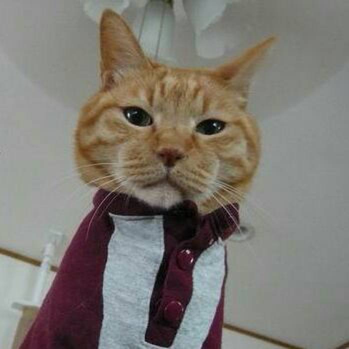 05792438 5ac8 423c bc4d be1be1583e40 1511752963117