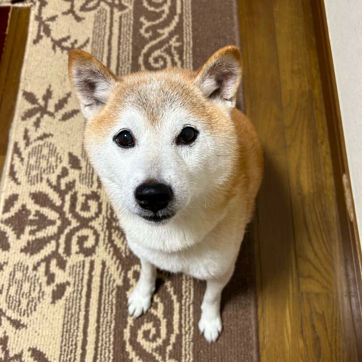 05794b4d d7f0 4c2c bd07 a48252322dfd 1758710817984