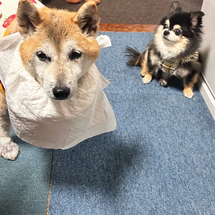 05794ded 45b3 4be9 94f8 95954f4d8a5b 1763807228034