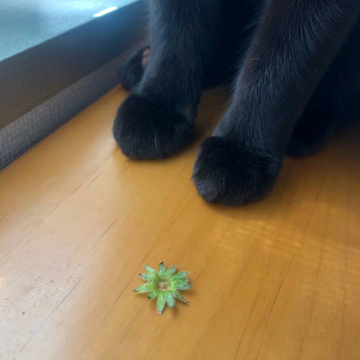 05797e0a 0933 4075 b8d5 27144493c981 1619221991450