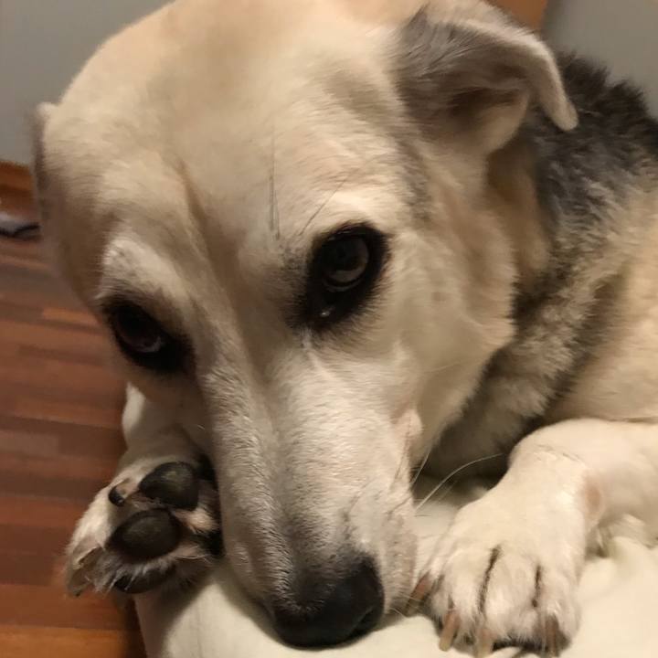 05797edc 50b3 4025 8886 3036846f4e74 1574338955604