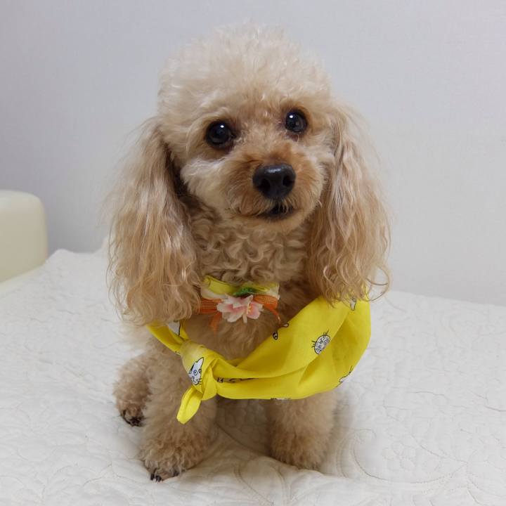 0579849b 7af2 42fd ab6d feb7b0291e49 1590888931671