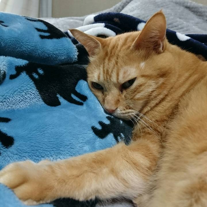 057997c5 de7e 4b91 ba10 f904de0bebe7 1517802805891