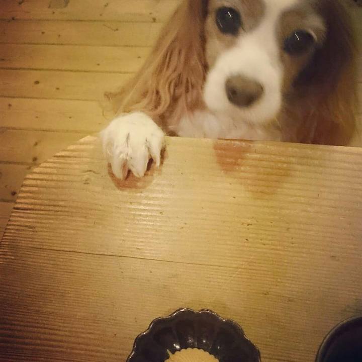 0579aa79 e29e 4cf4 b193 f5eba5604501 1525866408457