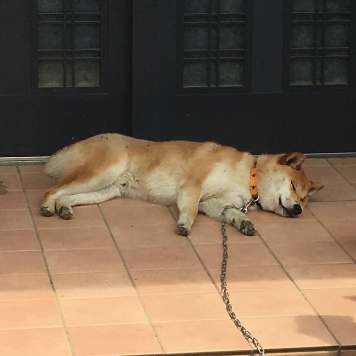 0579b0b8 2b5d 47f1 a656 181eb1c03ce5 1527156306589