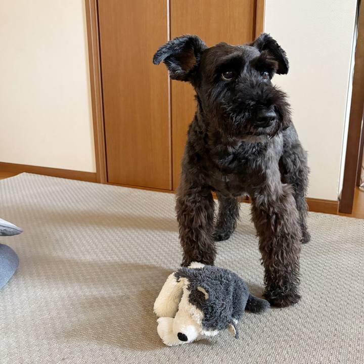 0579bf3d 30f0 4c99 afa0 35ae95e8bc27 1751672792873