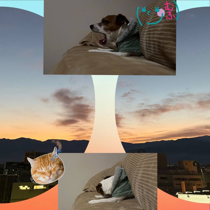 0579c0a9 5d7c 4999 8a46 799e21c17507 1767996475310