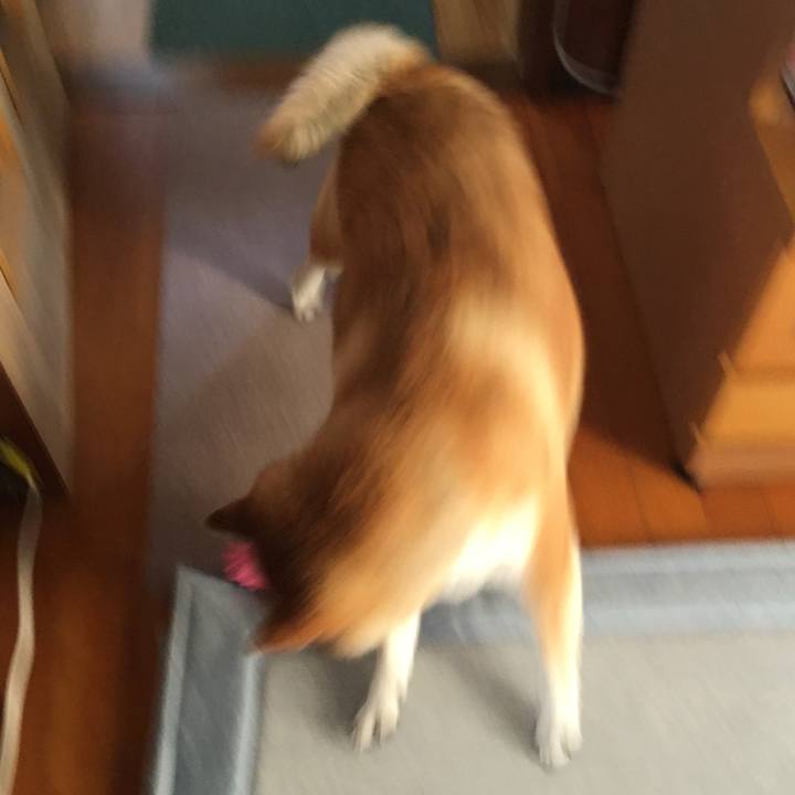 0579c636 777c 43db 92f8 a1695789d606 1597627511430