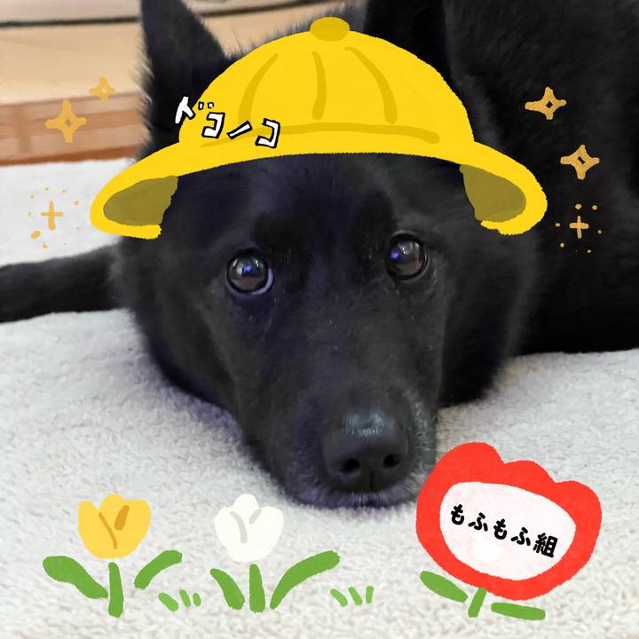 057a0ccb 0532 4c01 87f7 fff9ad3a48ca 1712283645811