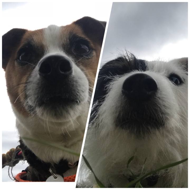 057a1adc b198 4f7f 8a08 b87e0a376c78 1521448878635