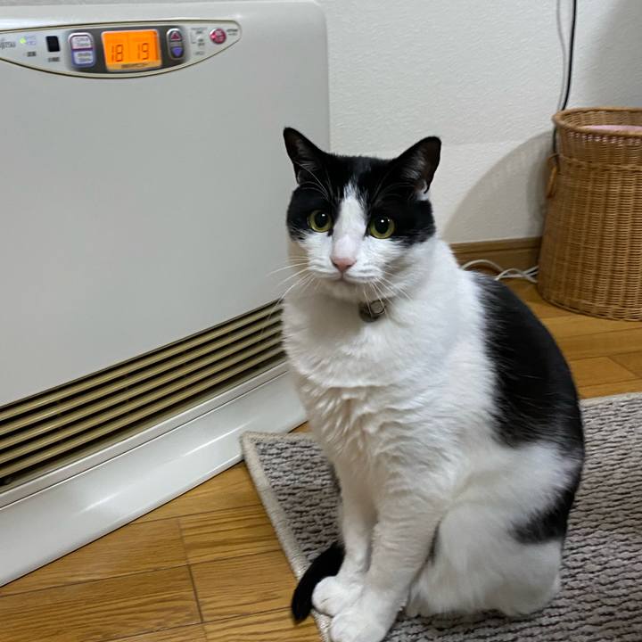 057a641f cdc8 4fd6 94df fa6414456253 1608077119337