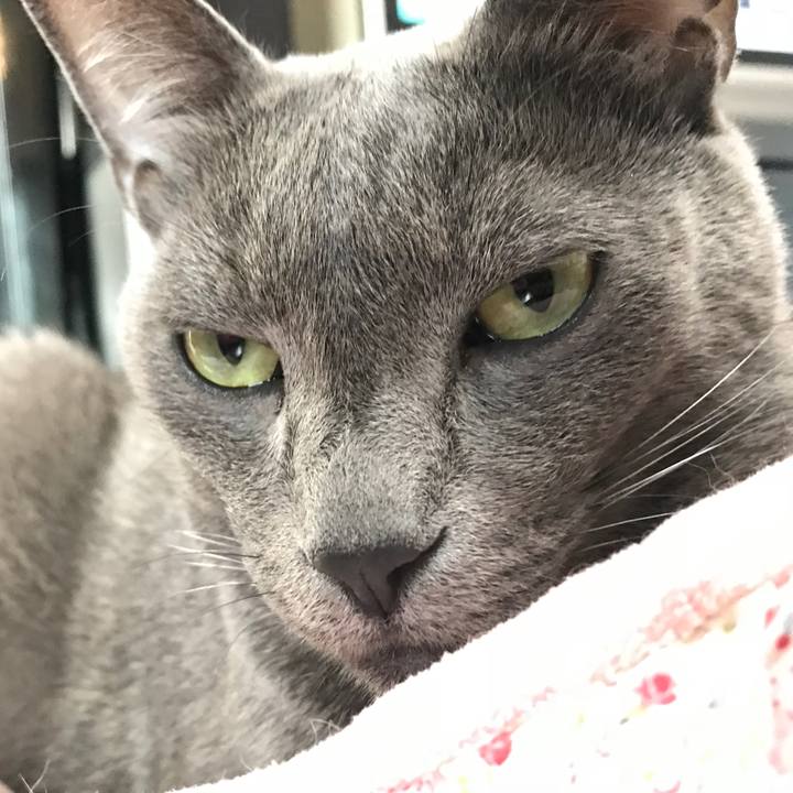 057a653b be86 4b6e 8f7a d34dbe2493a0 1518566458932