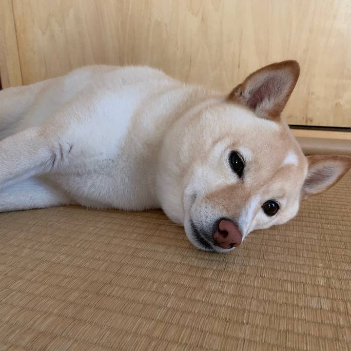 057a71ad 2649 43d2 ad0b 0af2f318190f 1623375105672