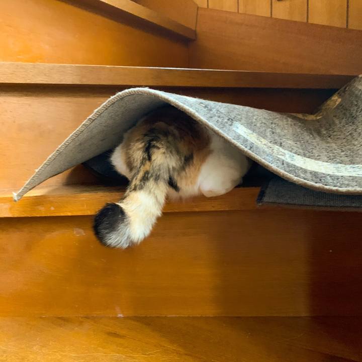 057a985f e8b8 479a bf26 e437617e302b 1558317876469