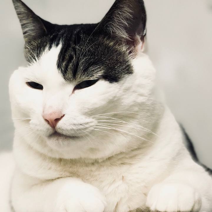 057a9dca 2b1a 4a3a b6d5 927ba6d8543b 1531999585702