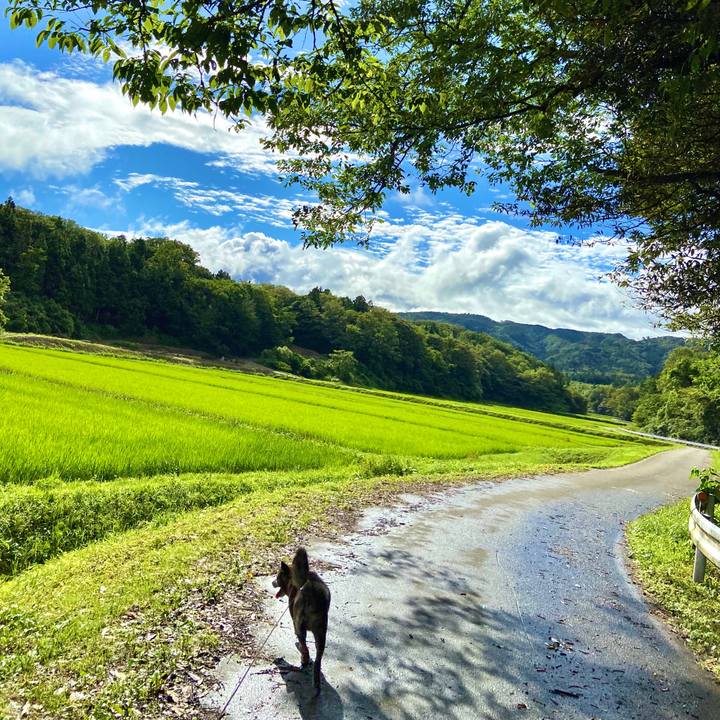 057ae0c3 d7bd 4c9c b948 b4d2a54cf15d 1594869099794