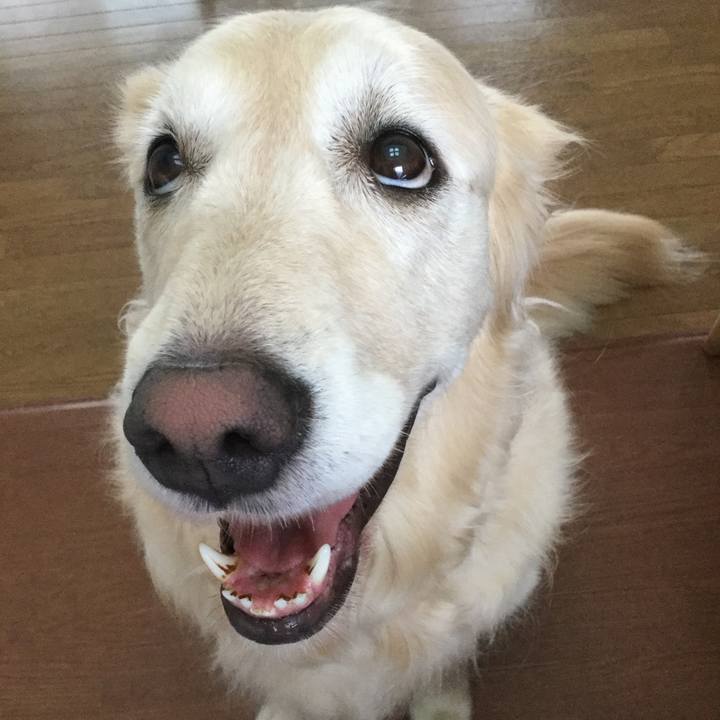 057b04b2 fb38 4aac ba80 127bde6ff26a 1535060825216