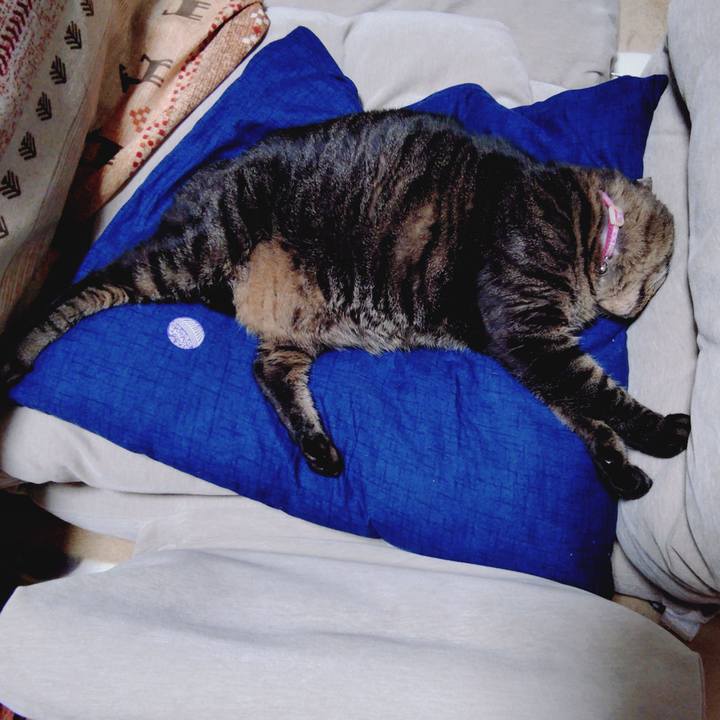 057b5da5 9914 4794 9ace dcef9bcd6249 1774999211635