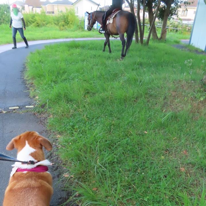 057b7ded f304 4ebb abaf ca6be8013bc1 1629164355559