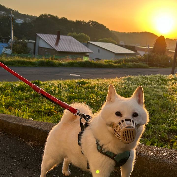 057c06cf 8c6c 4120 a9a3 3108b90419ca 1757104962736