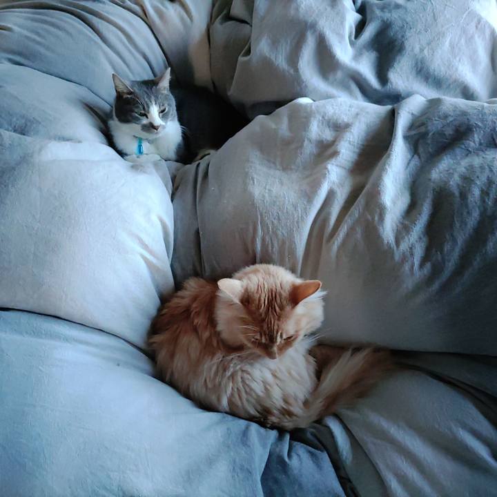 057c126c 9839 47c2 ac28 a6135b21d232 1670377272909