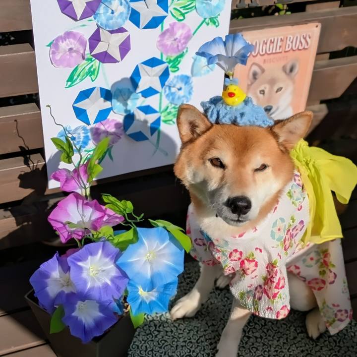 057c3a9f 47ad 4348 a8e3 585a55059344 1755179313832