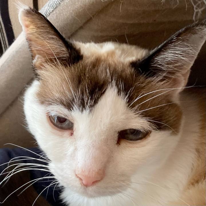 057c40a7 571d 4459 b648 03373e3c6147 1675744263684