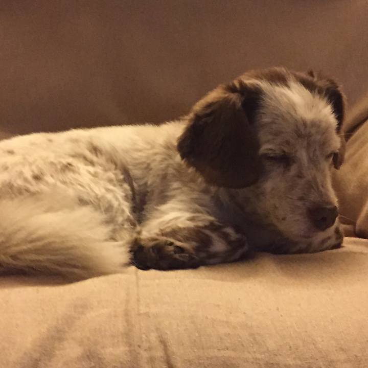 057c7b27 a778 4ad4 a1c2 c898d72062ab 1512842338924