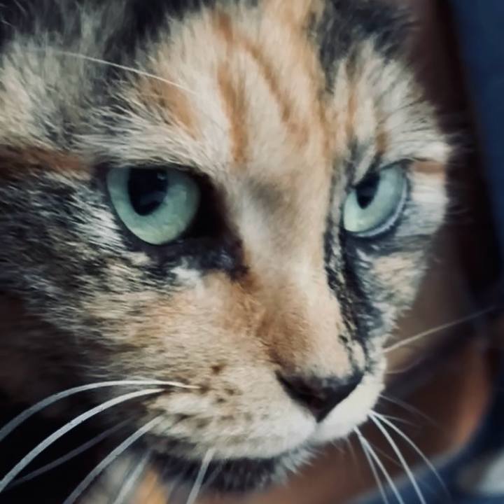 057c7c13 7753 4c2c af0f d0e6e2ff161d 1768806756705