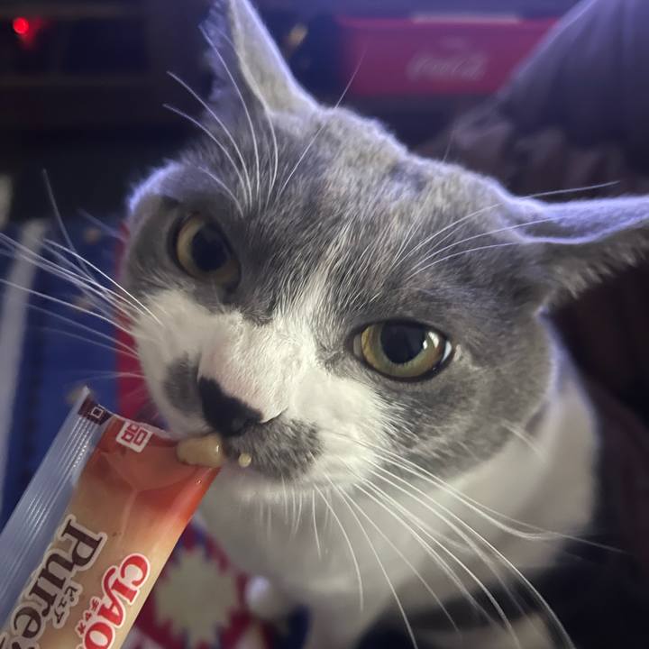 057ca64a a99f 4101 856a f09931d5a4a0 1671258262358