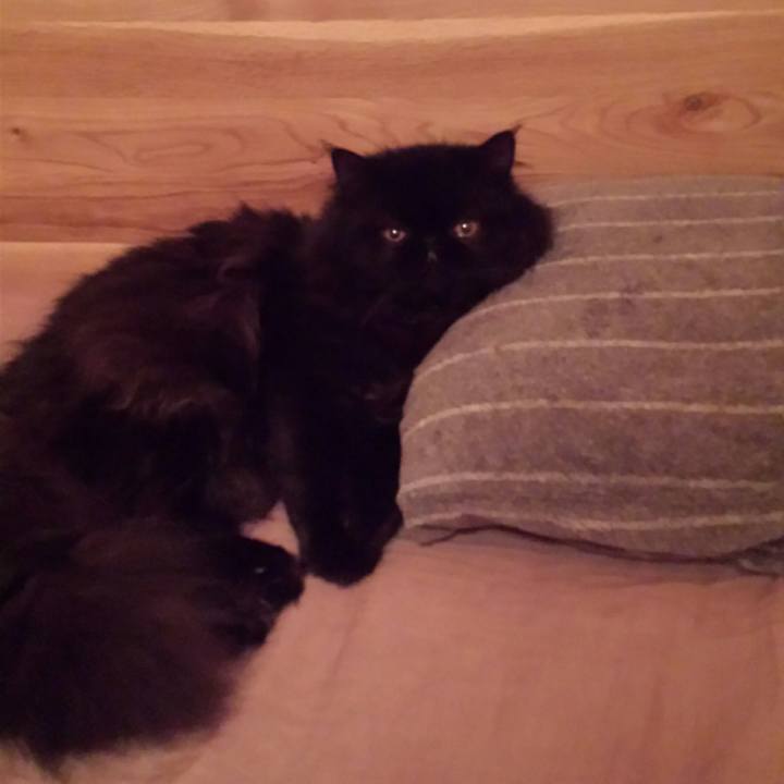 057cb343 cf90 408b b3df 5a378be6ff55 1523887543924