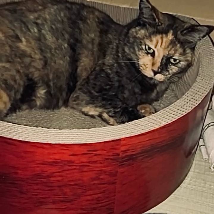 057cbe4b 3fe4 4942 9cf7 e6c3febbbec8 1757281504041