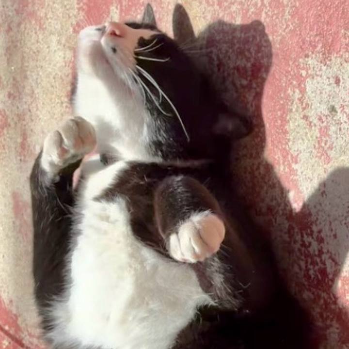 057d3f96 69f8 45b6 8911 6cacf6c54a56 1746324768515