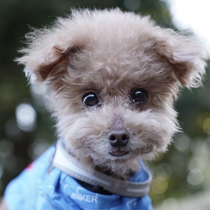 057d625f 2718 417a aca7 6c67fd46b902 1676808393315