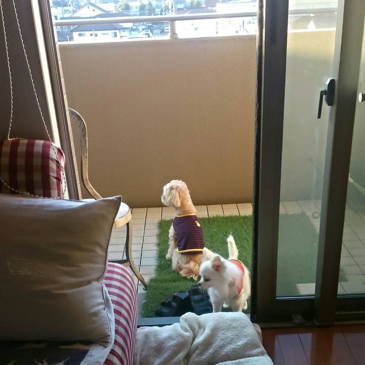 057d718c a018 46b5 acc2 d3328868b09b 1509708527044