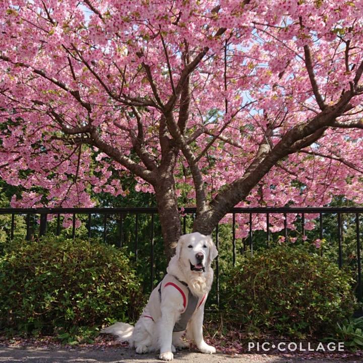 057d7672 589b 42a2 bcbe 72fd8e625456 1582455114466