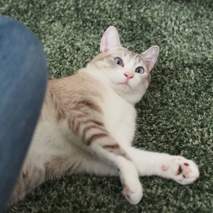 057d9cff 04ec 4a3e 9bf2 36f06dd1c135 1538792742823