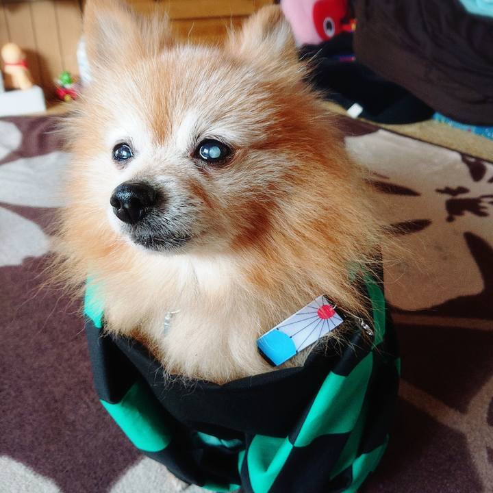 057da8b7 add7 45d3 99b2 947fef1636e0 1607143852931