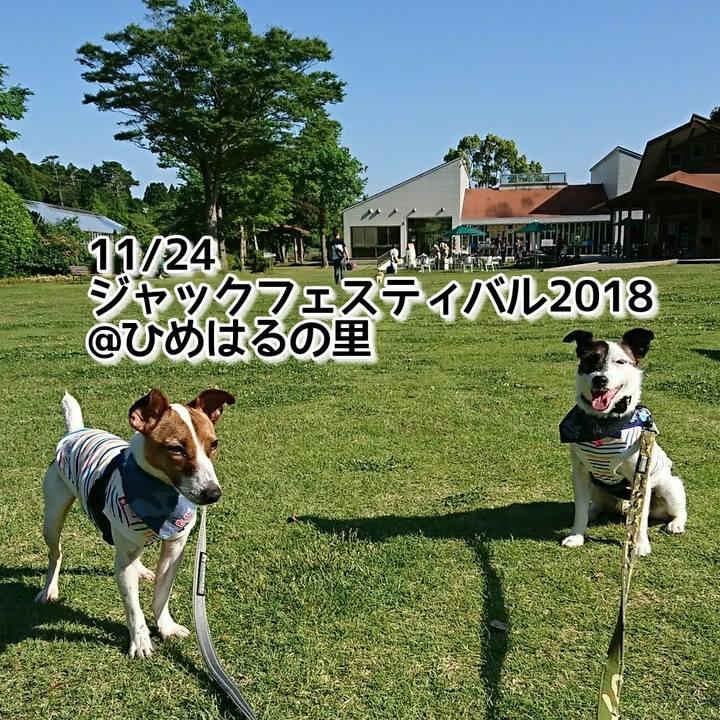 057dcda4 97a9 4833 95e0 a1e063fc4d68 1537192833887