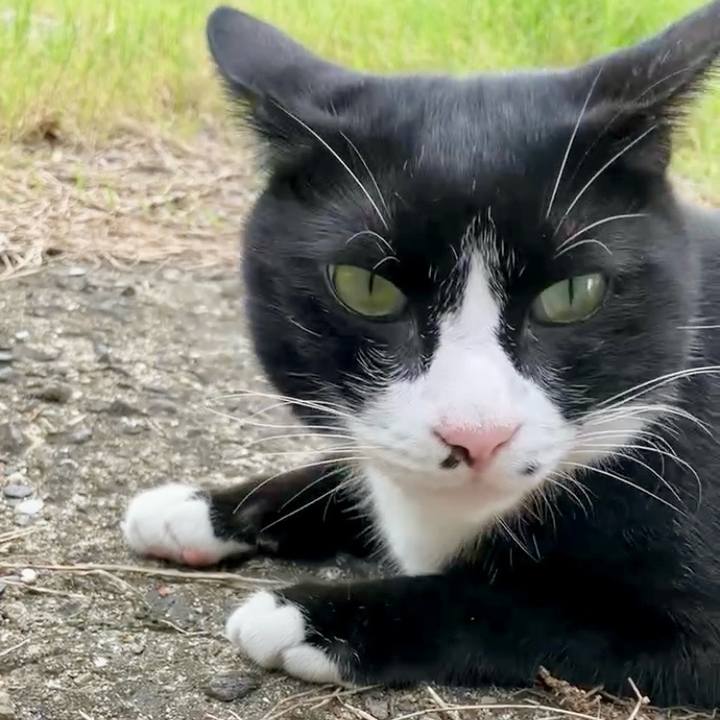 057dda75 b08f 43e4 8b40 0f0bee845fb8 1729151286367