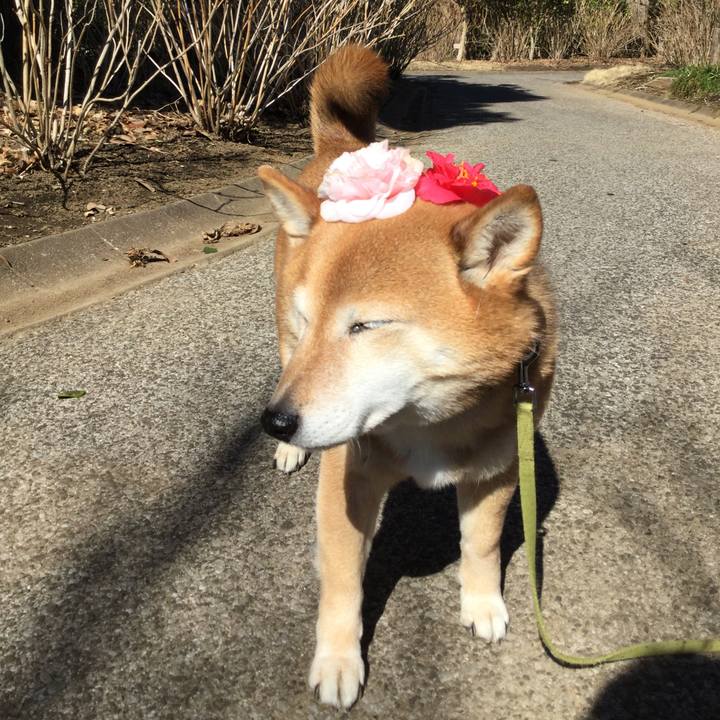 057de4b1 f0c6 4276 a5f8 91d067ac3539 1613716901105