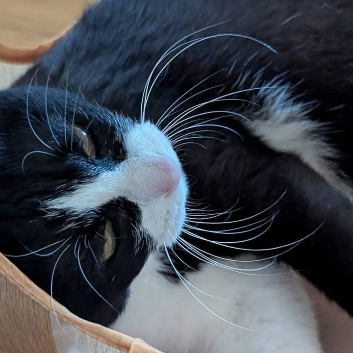 057e03db b735 4c69 96cf 487b6a5fae93 1745928217465