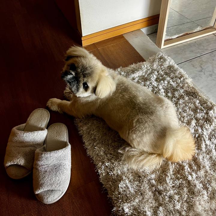 057e54ce 2cf3 4cbc 8794 8651072dd760 1775246861749