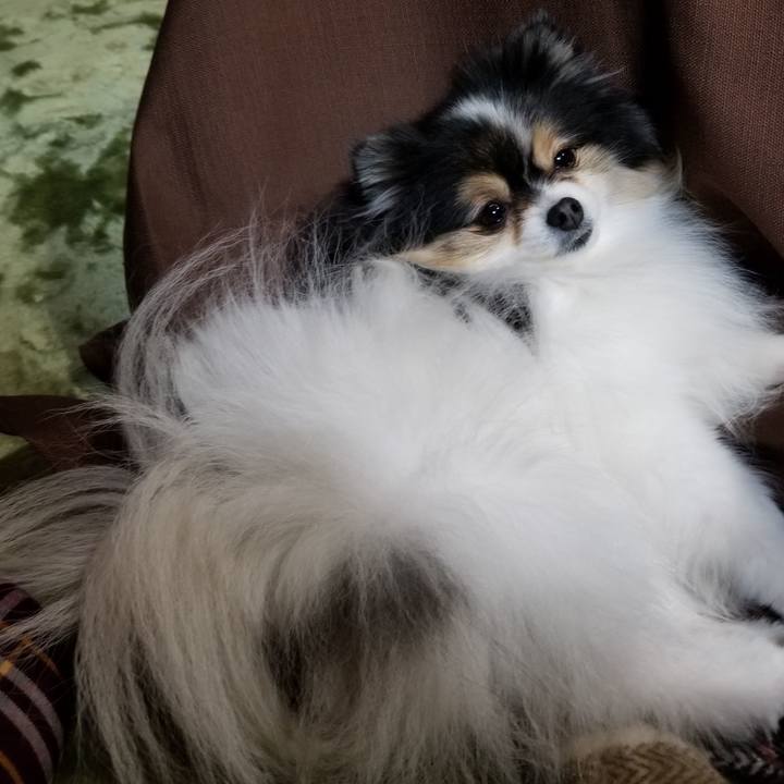 057e630c 1f04 48cb ac62 321b70c31c8a 1580987654480