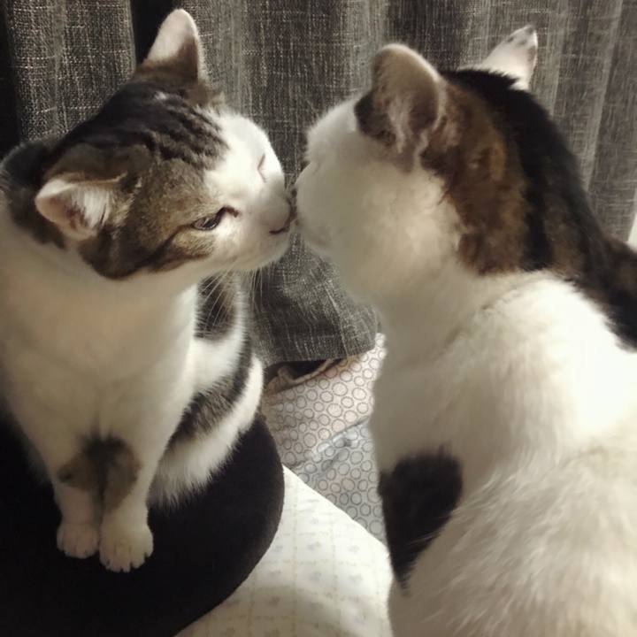 057ec516 e47a 45a6 8735 f2071cdf26ff 1579322313913